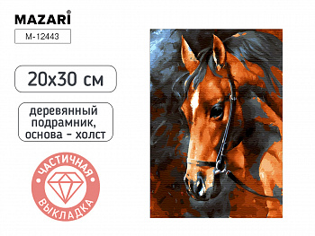 Алмазная мозаика ЛОШАДЬ, 20х30, част. выкладка